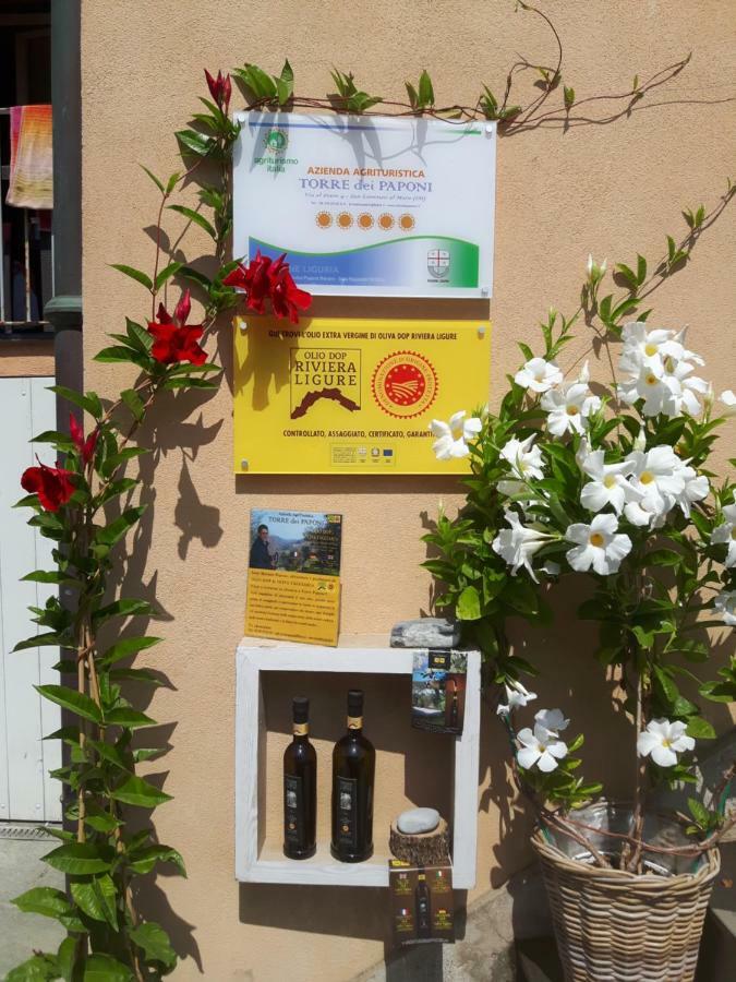 Loft Al Mare Villa San Lorenzo al Mare Exterior foto